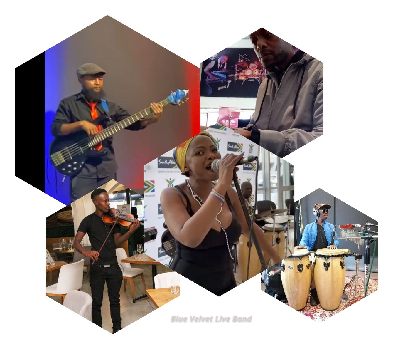 Blue Velvet Band.jpg